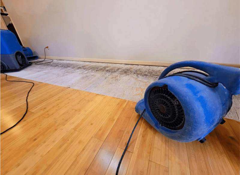 flooded basement cleanup Chicago