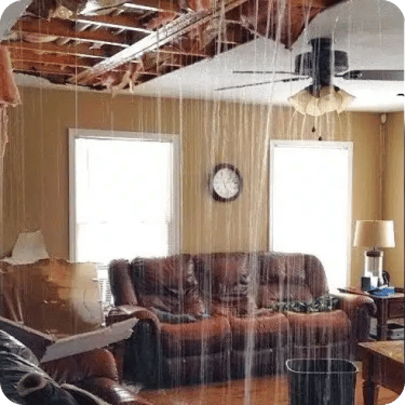 water mitigation company