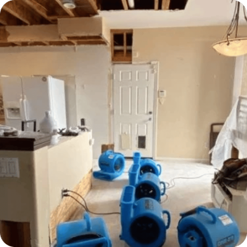 flood cleanup near me