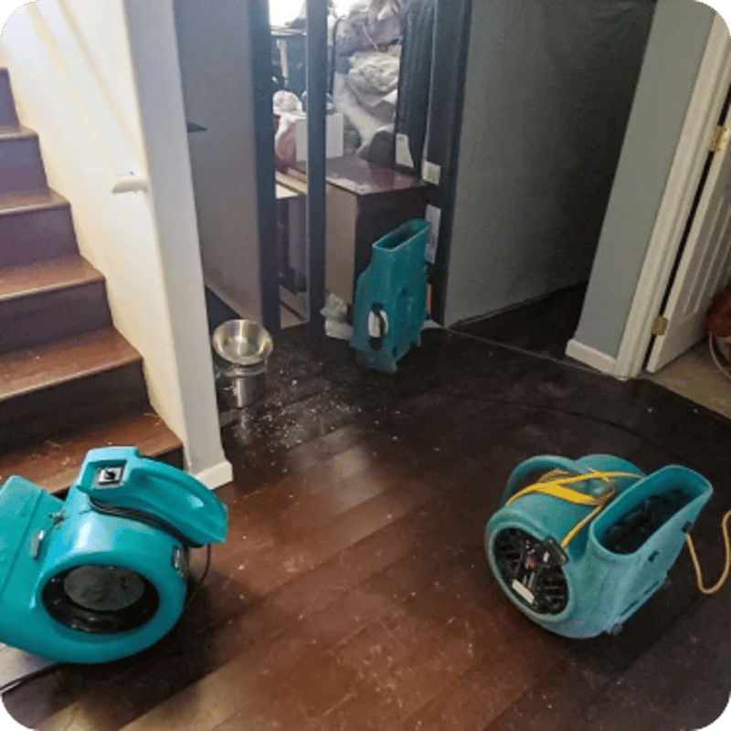 water damage cleanup