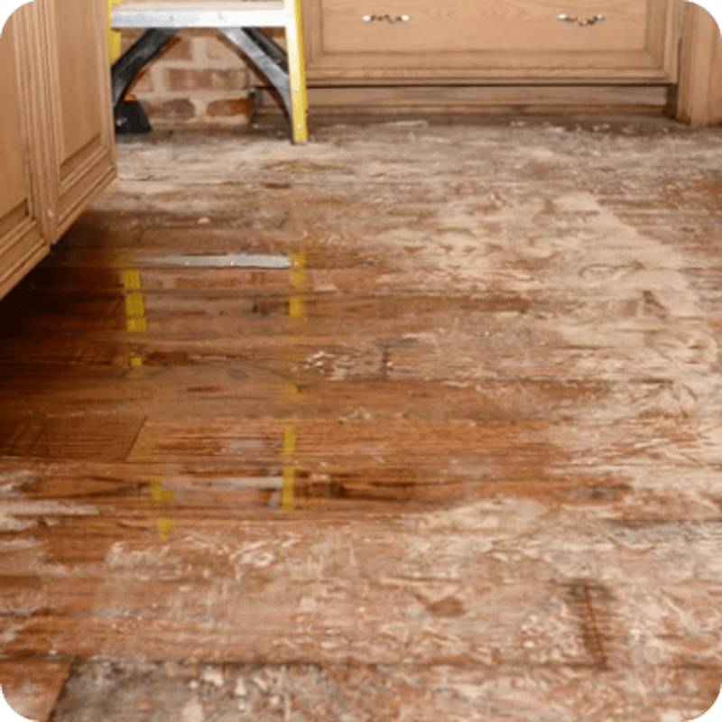 water remediation